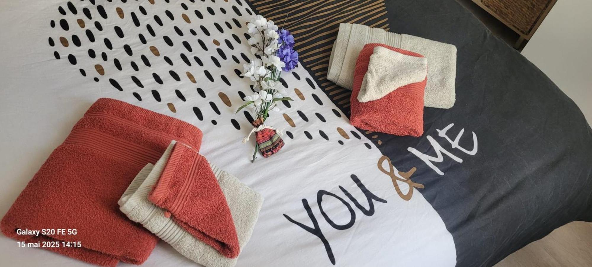Les Volets Bleus - Deux Appartements Et Un Studio, Jardin Bourges Ngoại thất bức ảnh